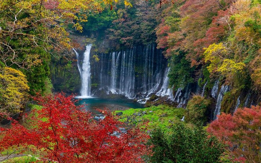 Mt Fuji : Private 10-Hour Luxury Tour by Exclusive Car - Lake Kawaguchiko, the easiest Fuji viewpoint