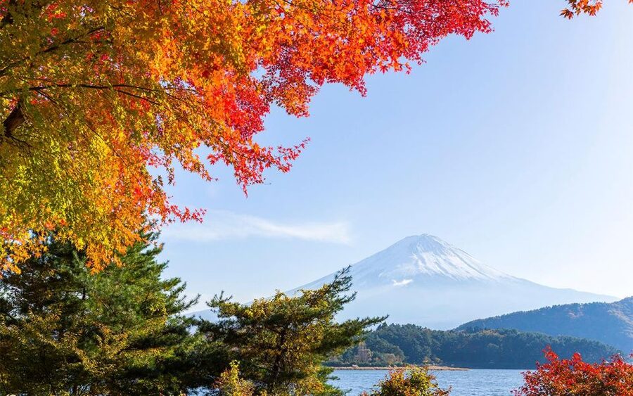 Mt Fuji : Private 10-Hour Luxury Tour by Exclusive Car - Weather can decide the quality of the day