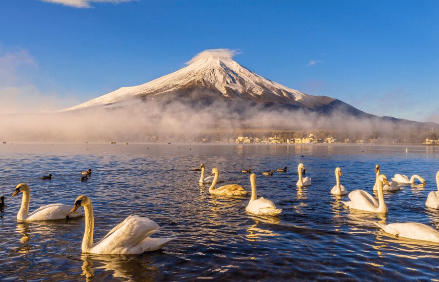 Mt. Fuji Sightseeing Day Tour With English Speaking Driver - Oshino Hakkai and its spring-fed ponds