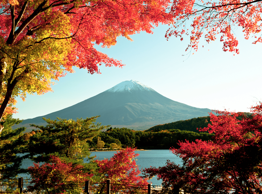 Mt. Fuji Sightseeing Day Tour With English Speaking Driver - Kitaguchi Hongu Fuji Sengen Shrine and the cedar forest