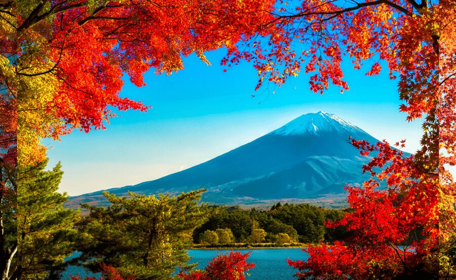 Mt. Fuji Sightseeing Day Tour With English Speaking Driver - Chureito Pagoda and the classic Fuji photograph
