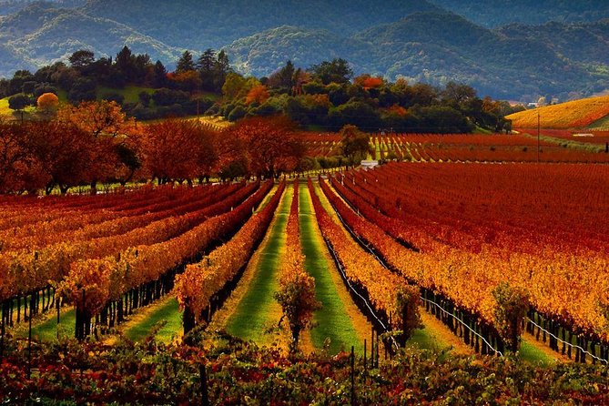 Napa - Sonoma Limo up to 9 passengers - Start with pickup where it works for you