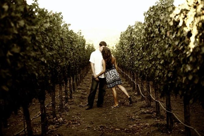 Napa - Sonoma Limo up to 9 passengers - The Sprinter Van makes group travel easier