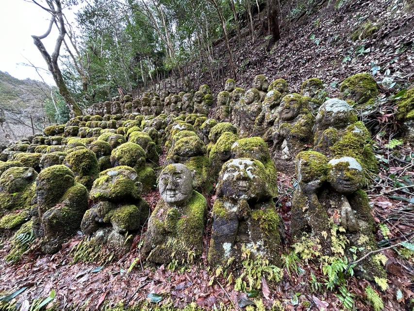 Nara Optional:Kyoto Private Car Tour with Japanese Navigator - Booking tips for a better day