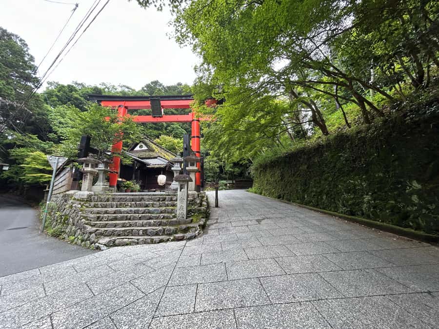 Nara Optional:Kyoto Private Car Tour with Japanese Navigator - A good fit for families and varied mobility