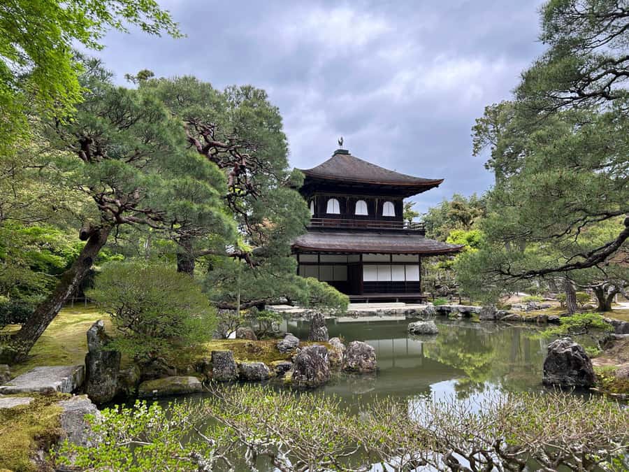 Nara Optional:Kyoto Private Car Tour with Japanese Navigator - What $133 per person really buys