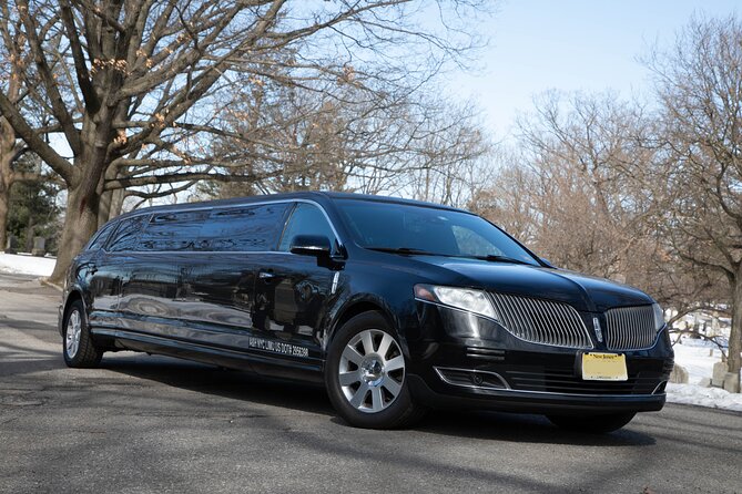 New York City Airport Arrival Transfer by Limo LGA JFK EWR - From baggage claim to the waiting limo