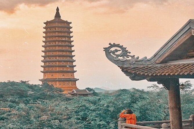 Ninh Binh Tour Bai Dinh Trang An Mua Cave Small Group Limousine - Buffet lunch with Vietnamese dishes