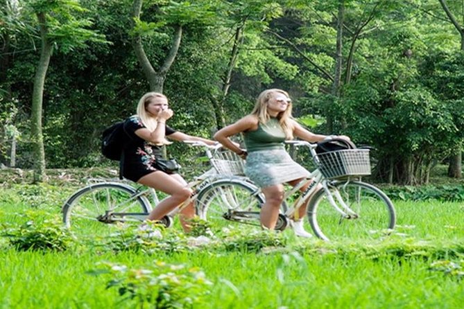Ninh Binh Tour Hoa Lu Tam Coc Full Day: Biking,Boating,Tickets,Lunch, Limousine - What is included, and what will cost extra
