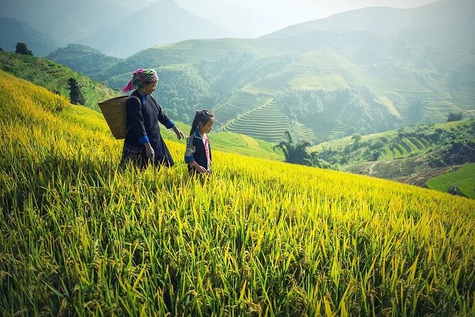 Noi Bai airport transfer by luxury Limousine Bus to Sapa from Hanoi - Leaving Noi Bai Airport for Sapa