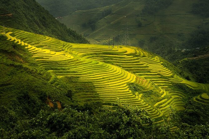 Noi Bai airport transfer by luxury Limousine Bus to Sapa from Hanoi - Who should book this transfer?