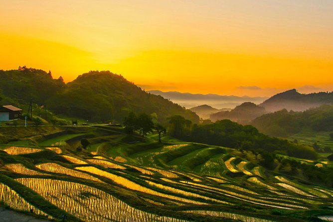 Noto Full Day Driving Tour (Private Car) - Shiroyone Senmaida and its steep rice terraces