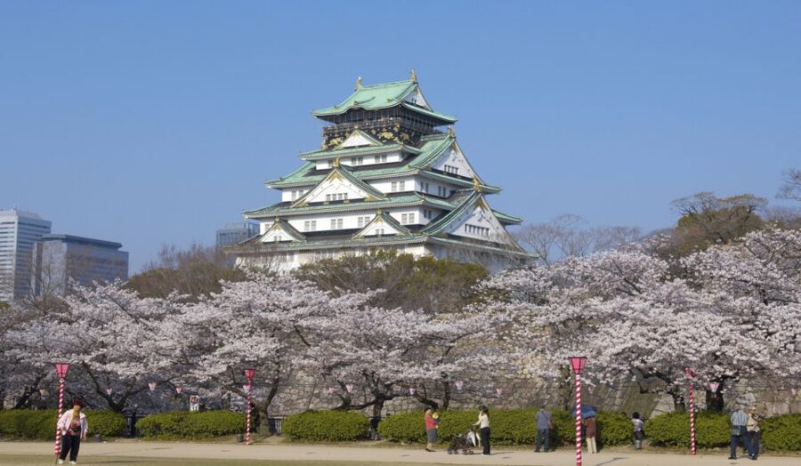 Osaka: Customizable Full-Day Tour with Private Transfer - A private Osaka day built around your priorities