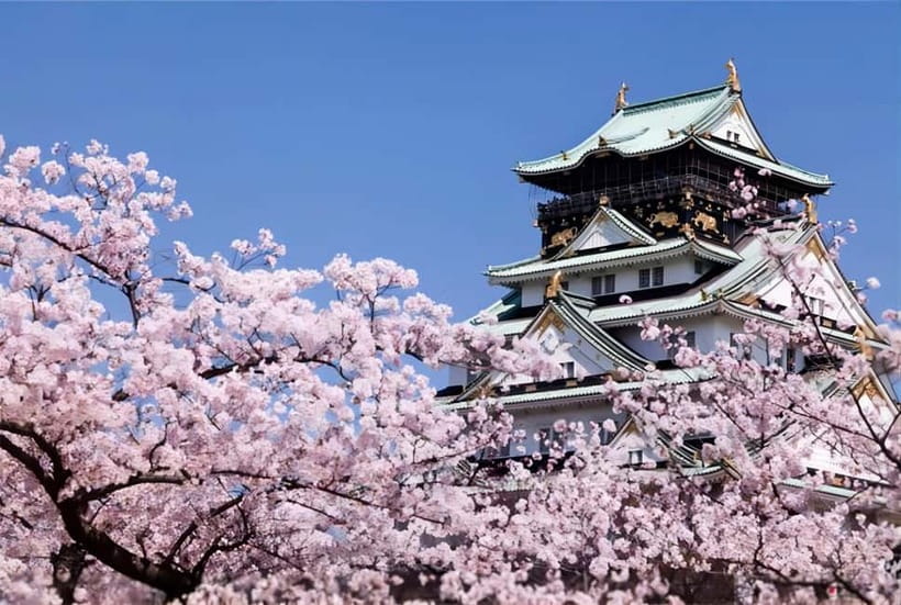 Osaka: Customizable Full-Day Tour with Private Transfer - Kuromon Ichiba Market: make room for food and browsing