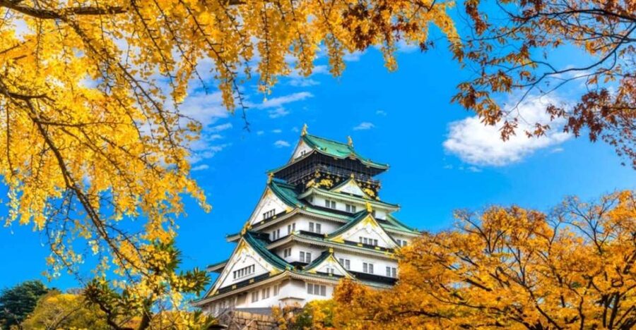 Osaka: Customizable Full-Day Tour with Private Transfer - Shinsaibashi: shopping time with a fixed clock