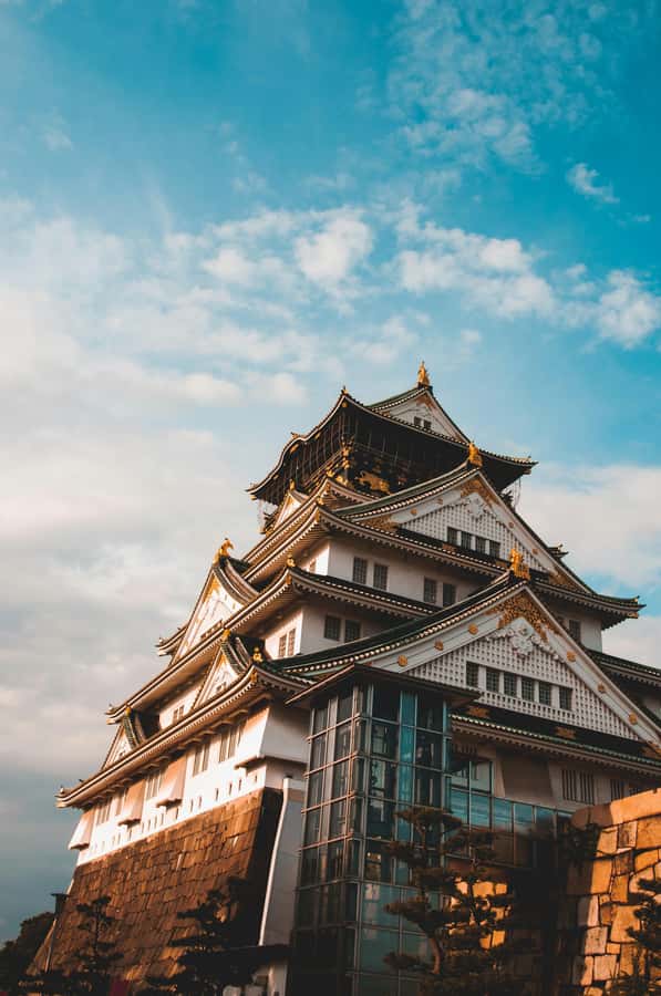 Osaka private Luxury Vehicle Tour:Freely Customized - Dotonbori and Osaka’s famous food culture