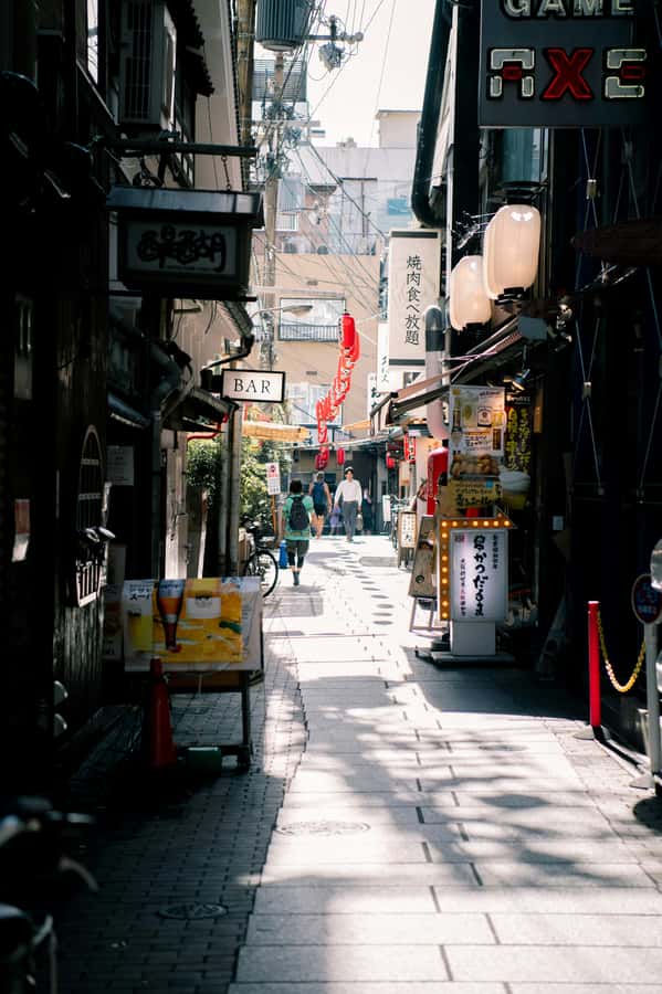 Osaka private Luxury Vehicle Tour:Freely Customized - Vehicle comfort for families and small groups