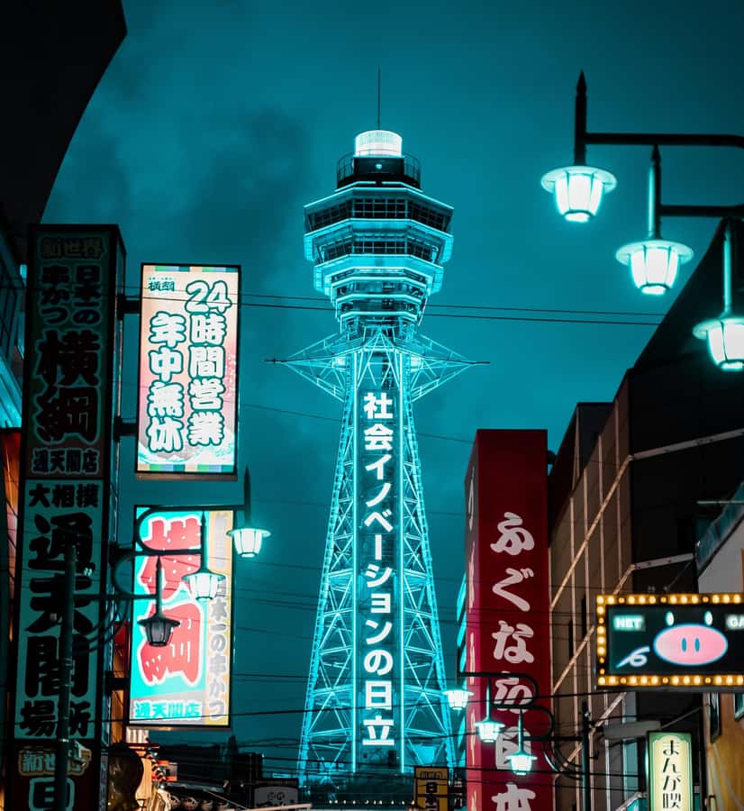 Osaka private Luxury Vehicle Tour:Freely Customized - Is $303 good value for a full day?