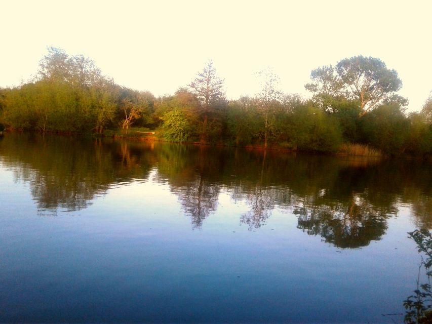 Oxford: Chauffeured Punting River with Optional Walking Tour - Oxford’s river customs: picnics, Pimms, and graduation