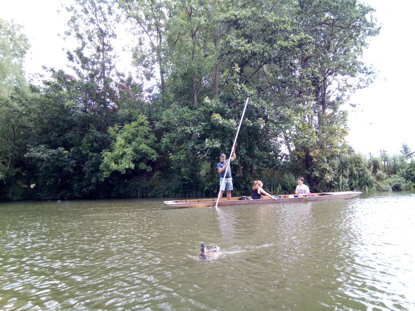 Oxford: Chauffeured Punting River with Optional Walking Tour - Add the 90 to 120-minute walking tour if you want more depth