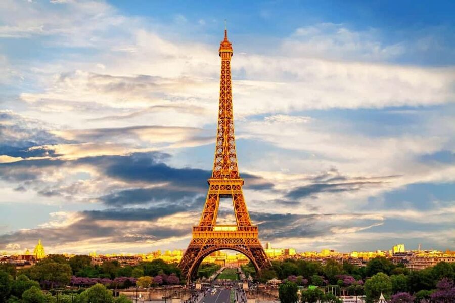 Paris Half-Day City Tour with a Private Driver - A quick Paris orientation from a private minivan