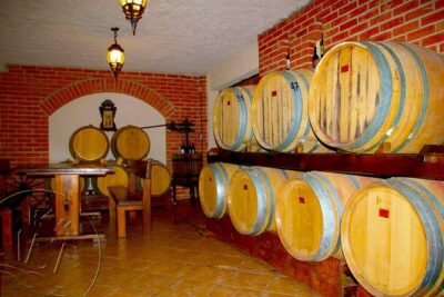 Peljesac Vineyards & Oysters – Private Day Trip from Dubrovnik-Mercedes Vehicle