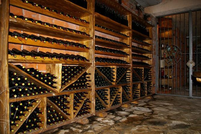 Peljesac Vineyards & Oysters - Private Day Trip from Dubrovnik-Mercedes Vehicle - The optional oyster boat from Ston