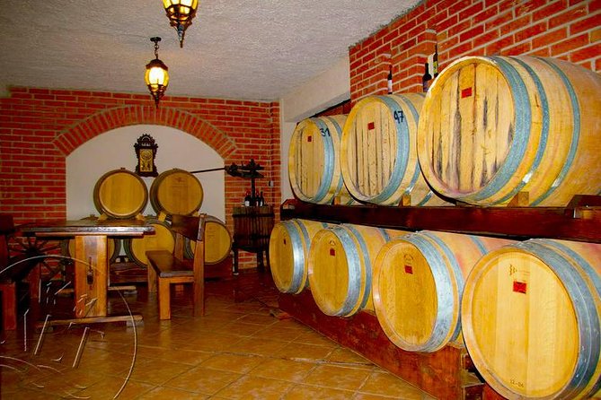 Peljesac Vineyards & Oysters - Private Day Trip from Dubrovnik-Mercedes Vehicle - Milos Winery: the first optional tasting