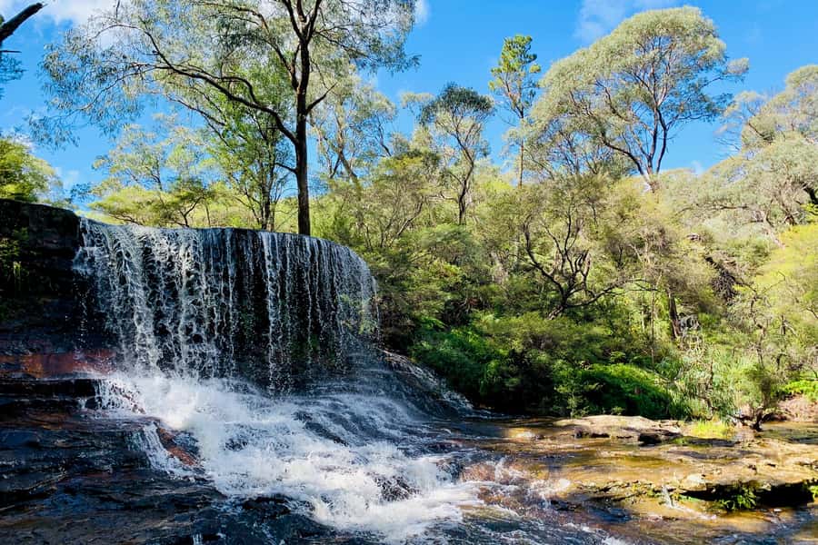 Personalised Blue Mountains Tour: Luxury Vehicles & Insights - Wentworth Falls, from viewpoints to bush tracks