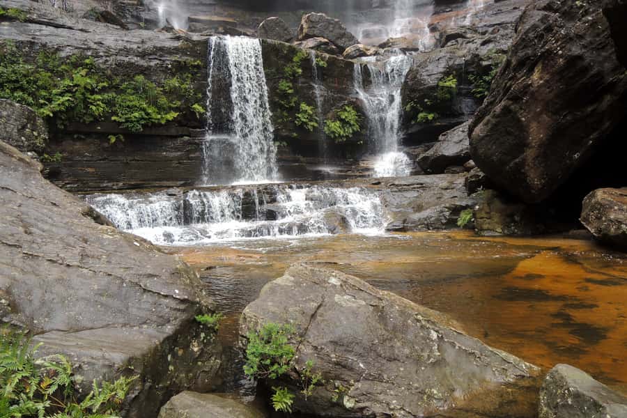 Personalised Blue Mountains Tour: Luxury Vehicles & Insights - Guides who shape the experience