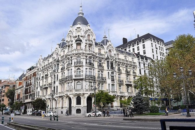 Private 8-hour City Tour of Madrid with driver,guide with pick up - Prado Museum: choose depth or a quick introduction
