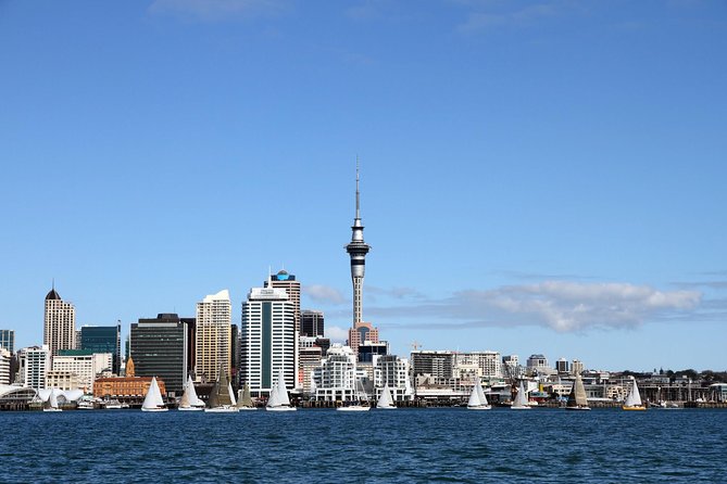Private Auckland City Tour For Small Group in a luxury vehicle. - Key points to know before you book