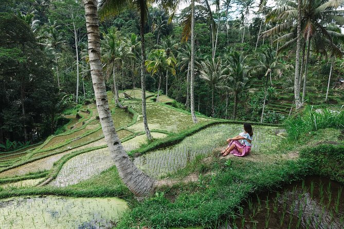 Private Bali Car Charter with Driver up to 6 People - Ubud and eastward: dance, water, temples, and rice terraces