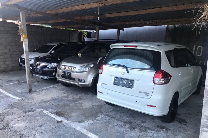 Private Bali Car Charter with Driver up to 6 People - Who gets the best value from this charter?