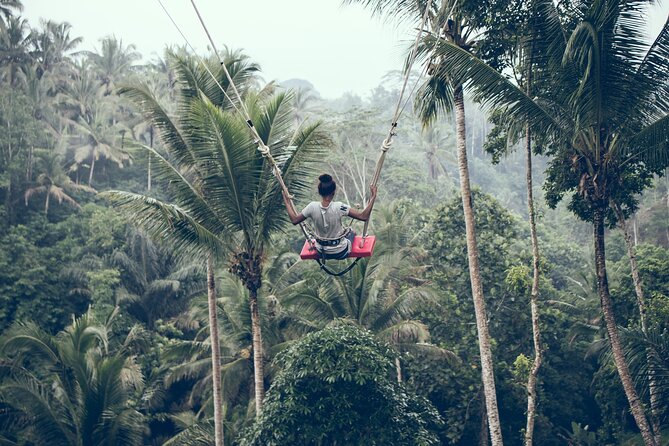 Private Bali Car Charter with Driver up to 6 People - What the flexible route really means