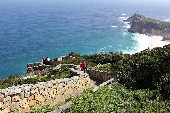 Private Cape of Good Hope and Penguins Tour with Luxury Mercedes or BMW Vehicle - Boulders Beach is the day’s most memorable wildlife stop