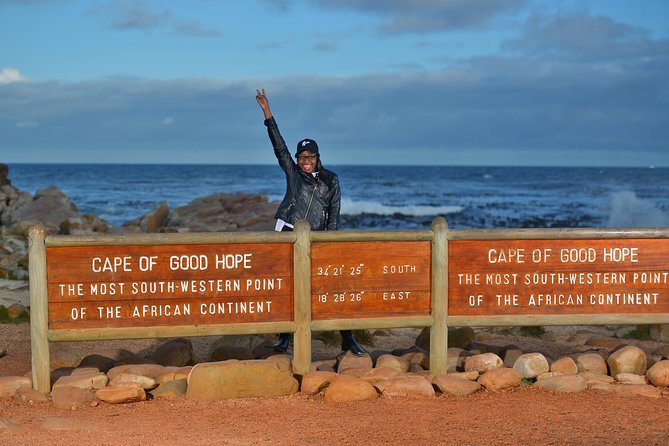 Private Cape of Good Hope and Penguins Tour with Luxury Mercedes or BMW Vehicle - Hout Bay gives you two different choices
