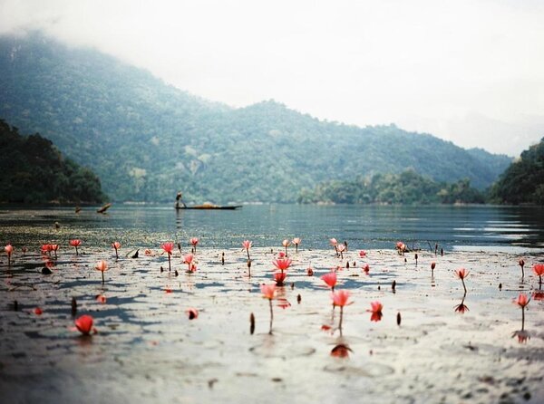 Private Car and Tour Guide Exploring Northern Vietnam - Key points to know before you book