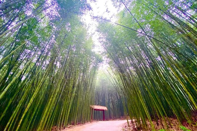 Private Car and Tour Guide Exploring Northern Vietnam - Why Cao Bang makes the best four-day choice