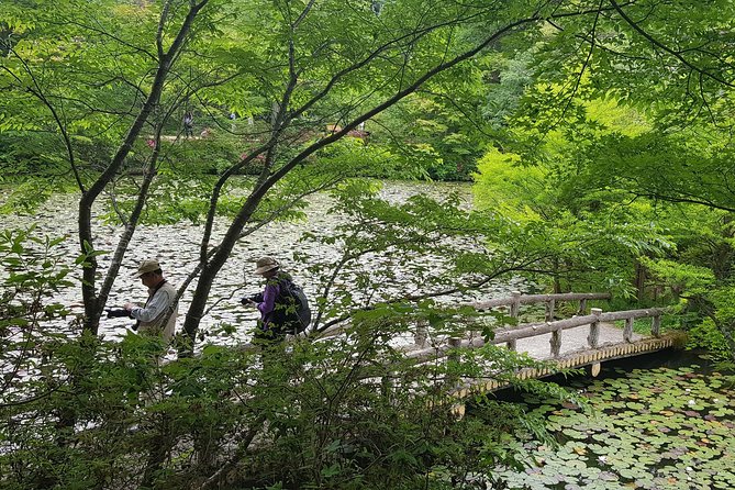 Private Car Day Trip to the Kobe Mountains, Gardens and Hot Springs from Osaka - Guides who shape the day