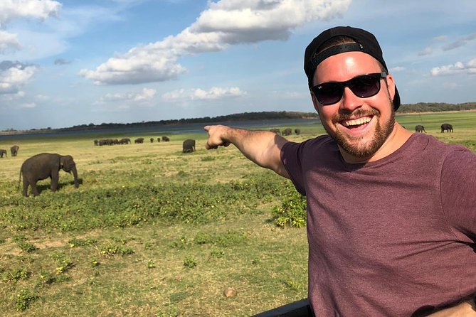 Private Car & Driver for 07 Days Tour In Sri Lanka - Day 1: Dambulla’s painted caves and elephant country