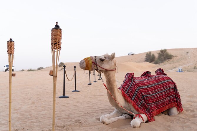 Private Car: Evening Desert Safari with BBQ Dinner - Red dunes and dune bashing at Lahbab