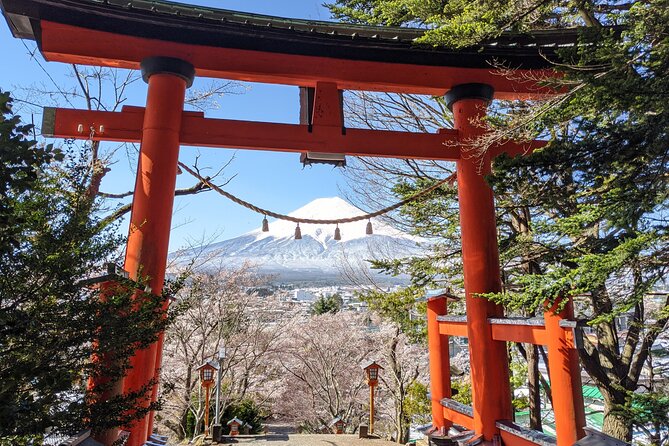 Private Car Mt Fuji and Gotemba Outlet in One Day from Tokyo - Lake Kawaguchi, Oishi Park, and Fuji views by water