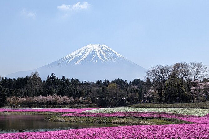 Private Car Mt Fuji and Gotemba Outlet in One Day from Tokyo - Shrines, Oshino Hakkai, and local character