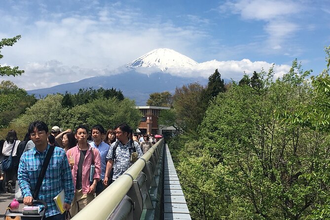 Private Car Mt Fuji and Gotemba Outlet in One Day from Tokyo - Gotemba Premium Outlets and the price question