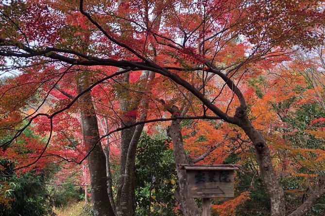 Private car tour in Kyoto (up to 4) - Nishiki Market: an hour for food and shopping