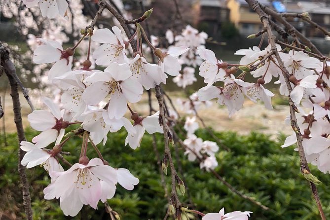 Private car tour in Kyoto (up to 4) - Sanjūsangen-dō and its 1,000 statues