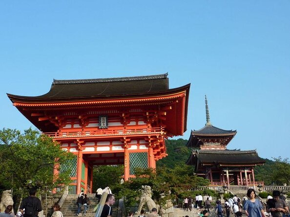 Private car tour in Kyoto (up to 9) - Key points to know before booking