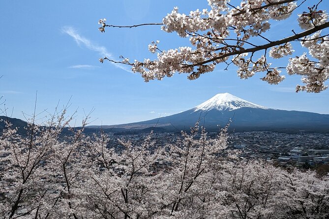 Private Car Tour to Mt. Fuji Lake Kawaguchiko or Hakone - A private way to reach Fuji from Tokyo