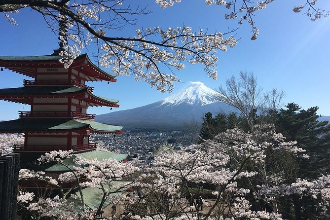 Private Car Tour to Mt. Fuji Lake Kawaguchiko or Hakone - Caves and the Aokigahara forest